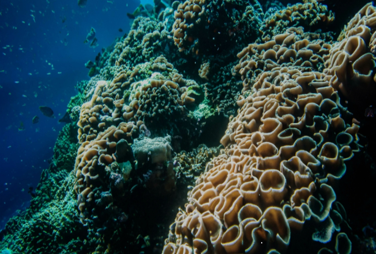 Underwater equipment